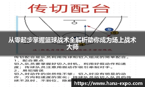 从零起步掌握篮球战术全解析助你成为场上战术大师